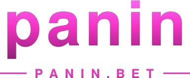 panin logo